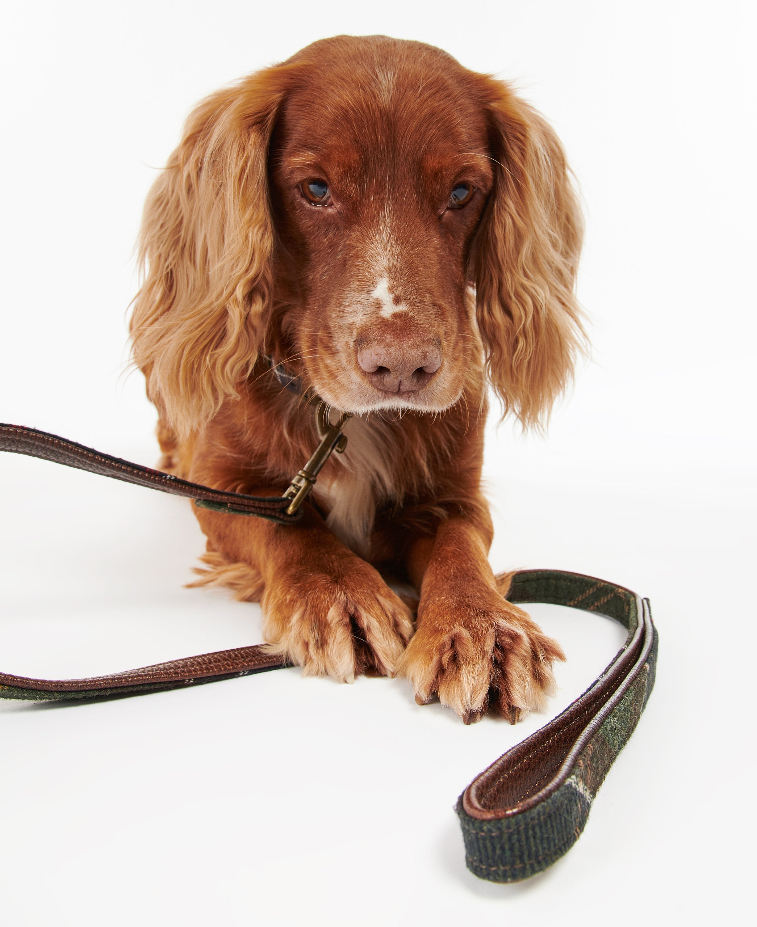 Barbour Tartan Dog Lead