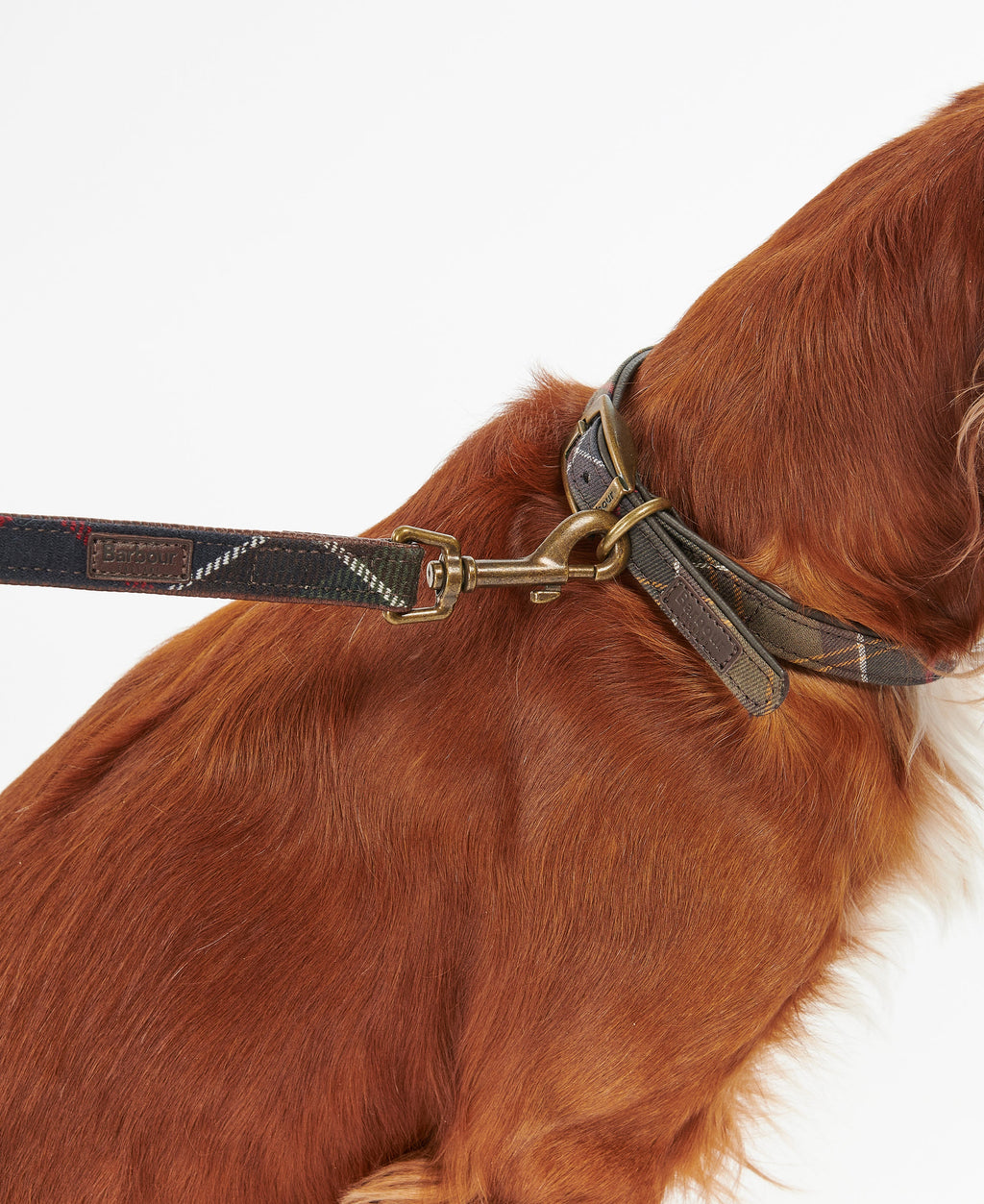 Barbour Tartan Dog Lead