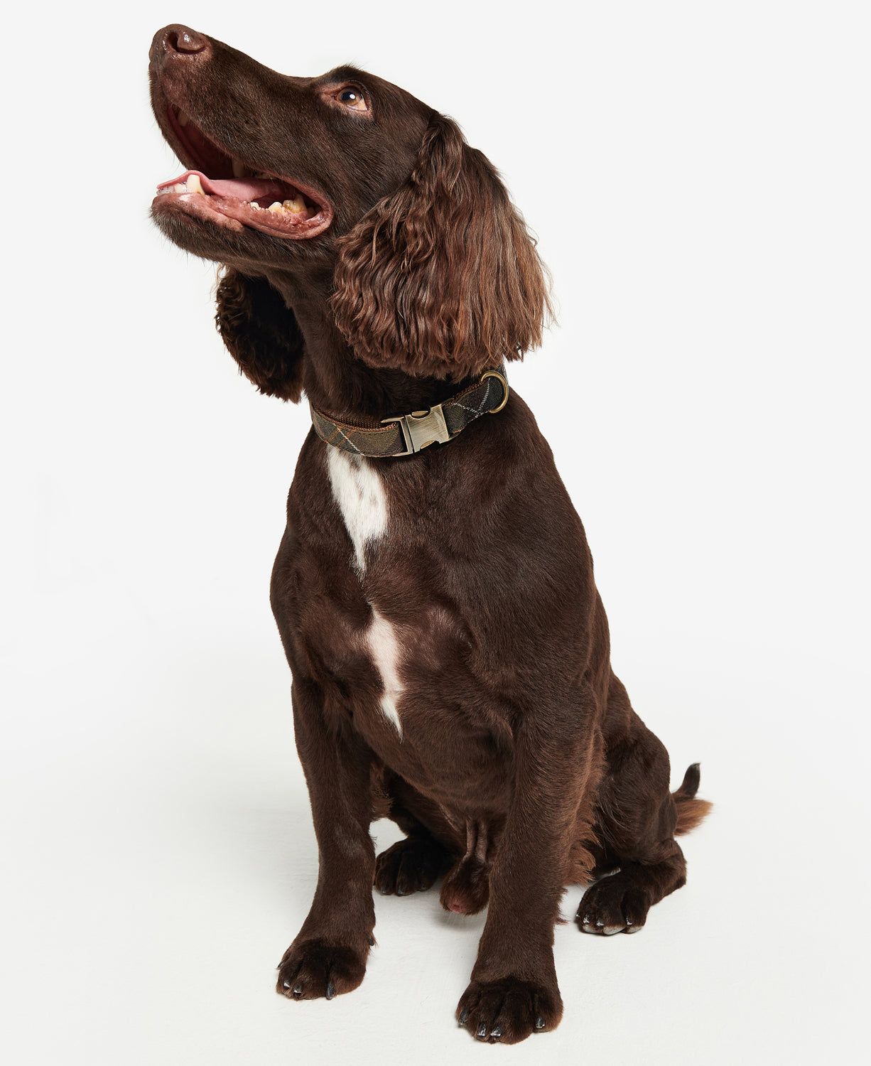 Barbour Reflective Tartan Dog Collar