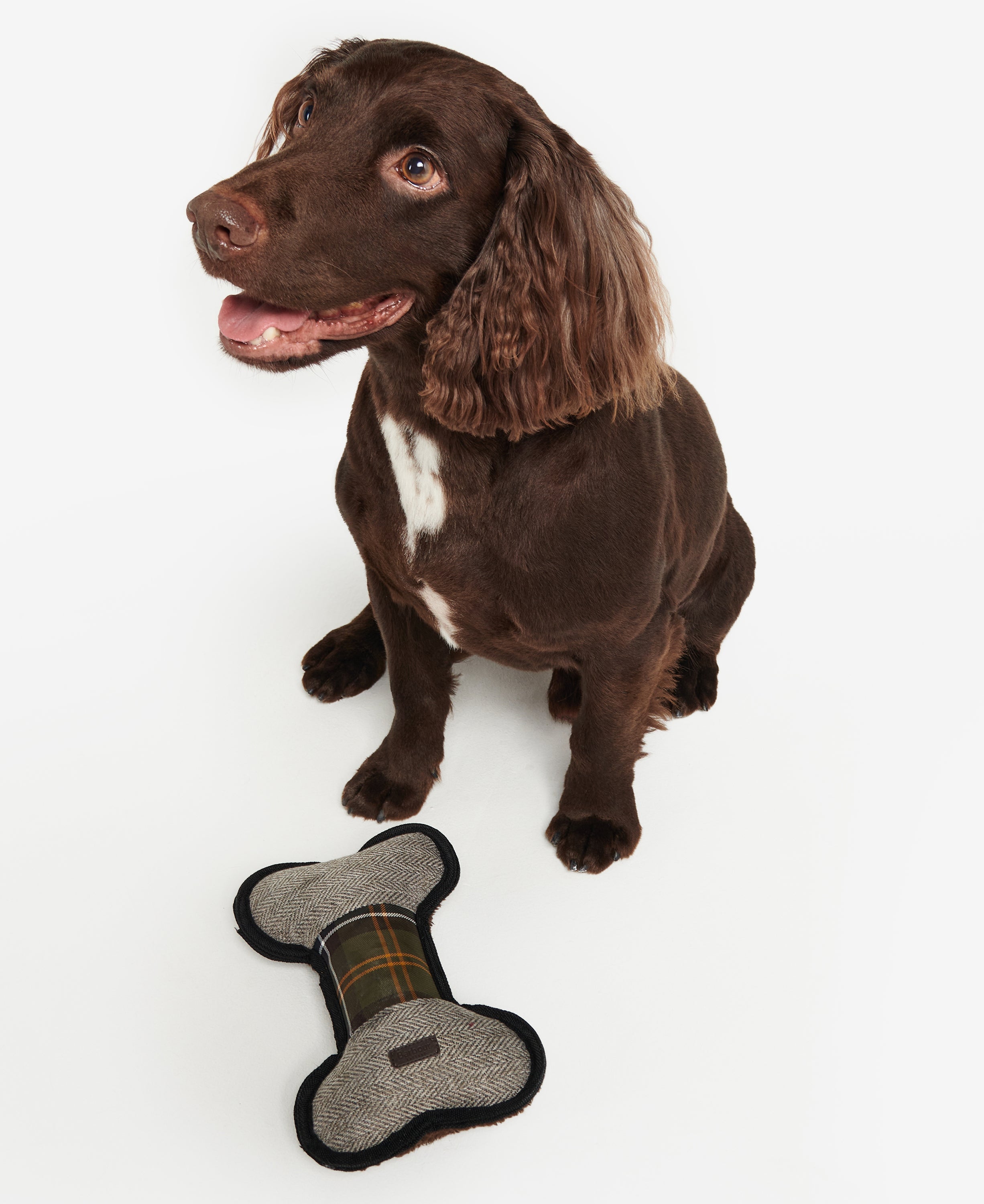 Barbour Bone Dog Toy