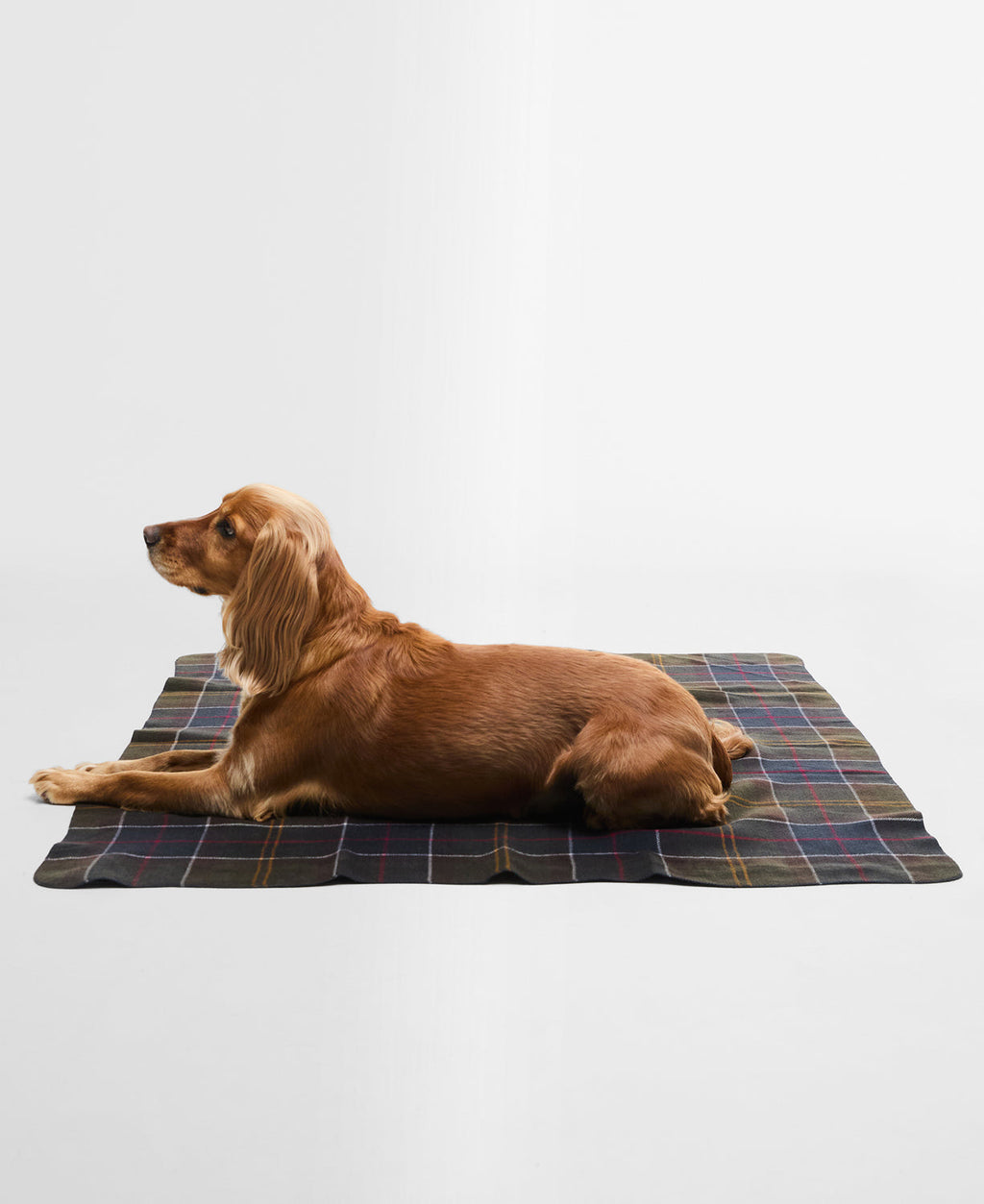 Barbour Dog Tartan Blanket